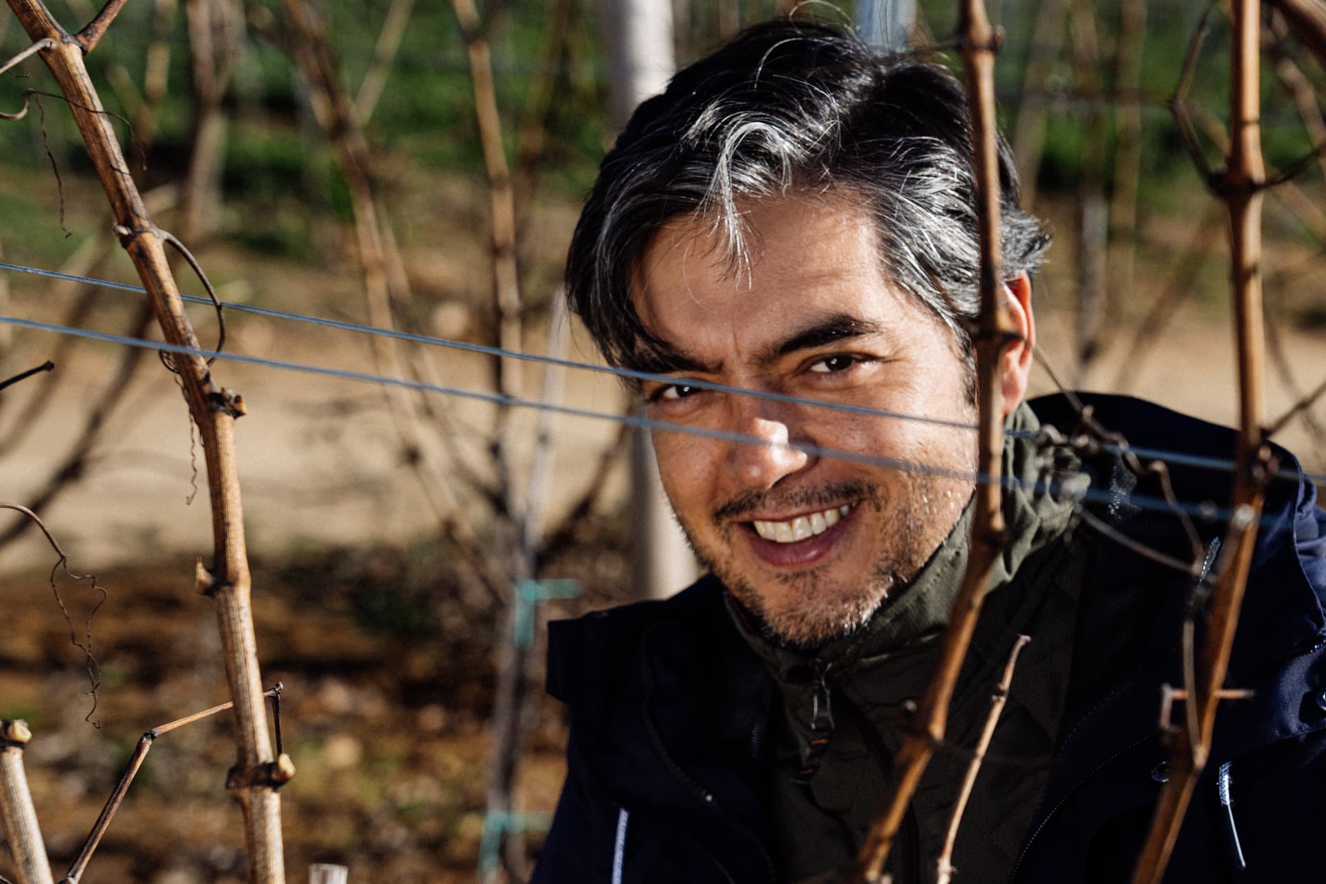 Miguel Correia, viticultor