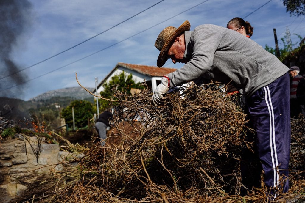 Leonel Ribeiro, Bisalhães