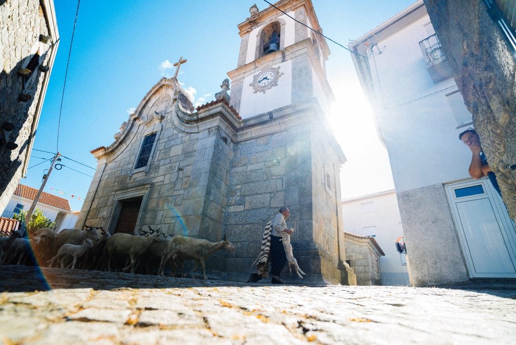 Romaria das Ovelhas, Freixo da Serra