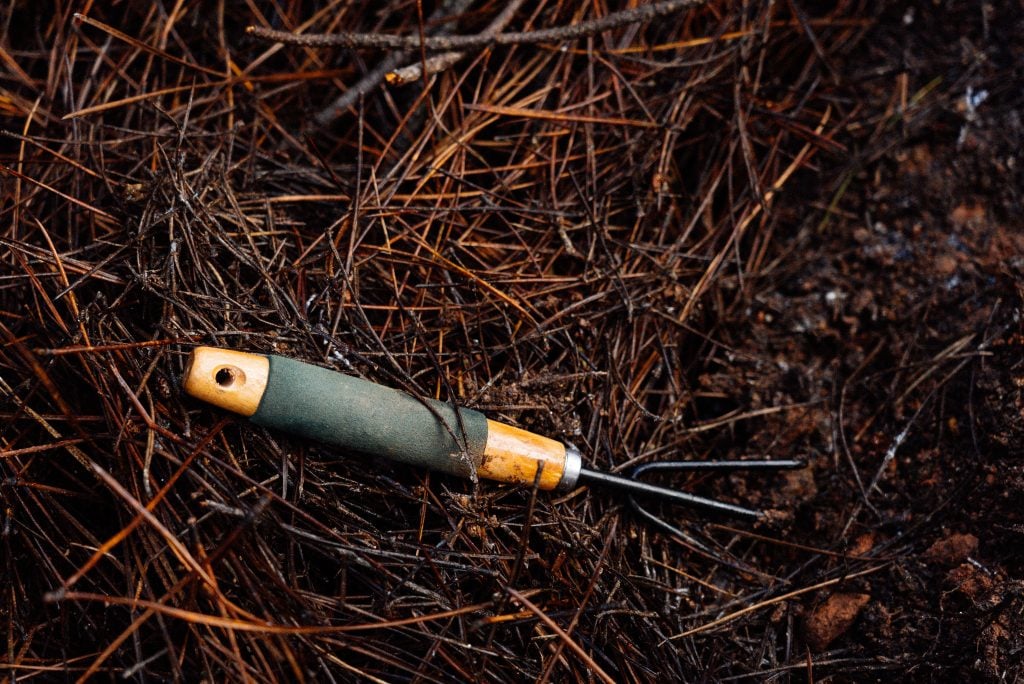 Instrumento usado para apanhar cogumelos