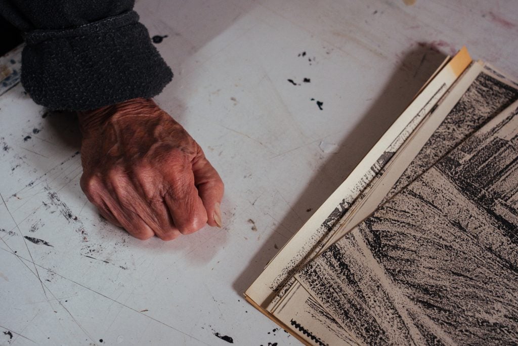 Pintor Daniel Vieira