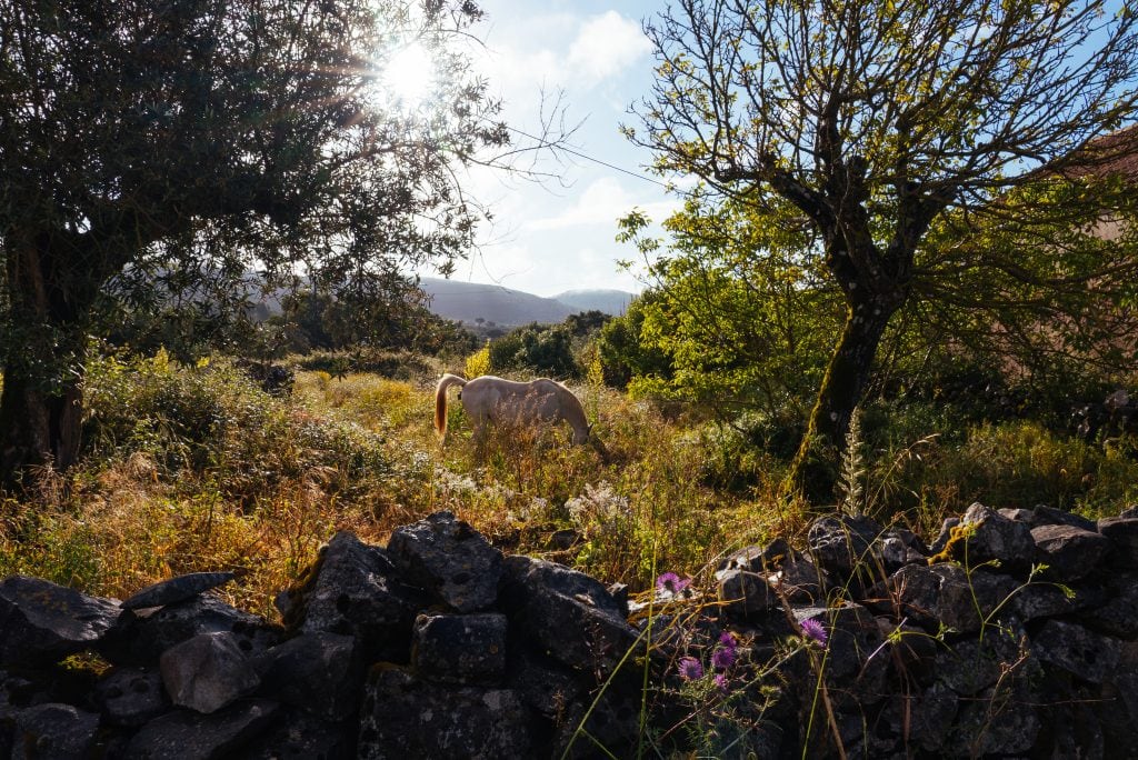 Paisagem rural de Serra de Santo António