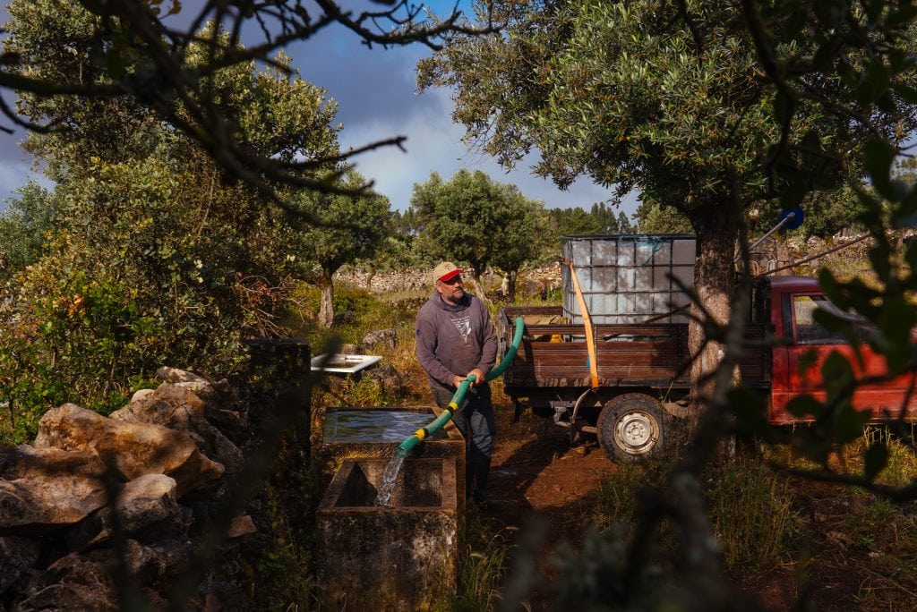 Tratando dos animais