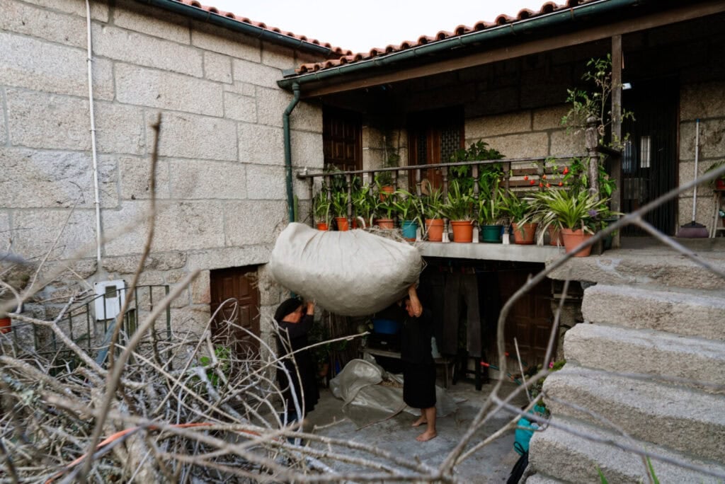 Irmãs Teresa e Maria do Rego, Soajo