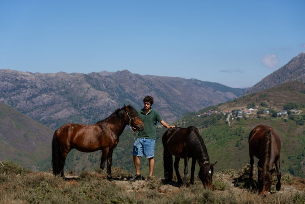 Rúben com os seus garranos