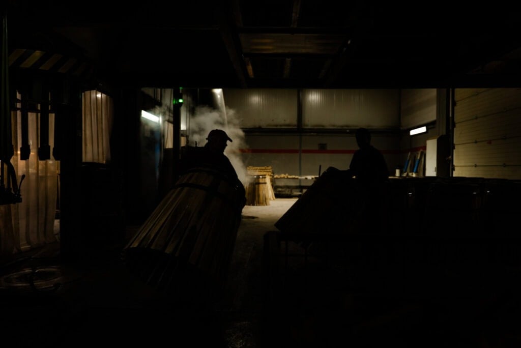 Tanoaria J M Gonçalves