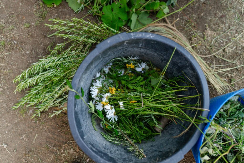 Flores para decorar a capela em dia de romaria