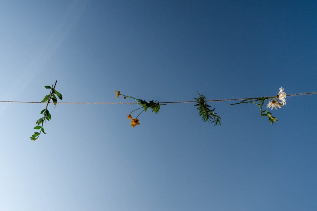 Flores para decorar a capela em dia de romaria