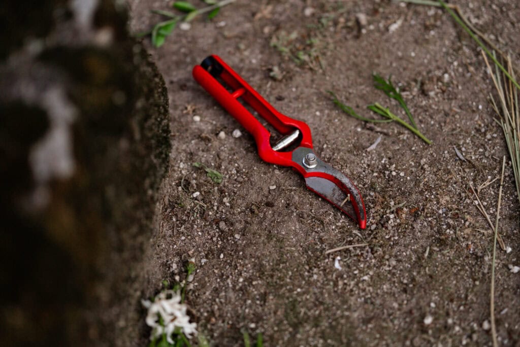Preparativos para a romaria de Bravães