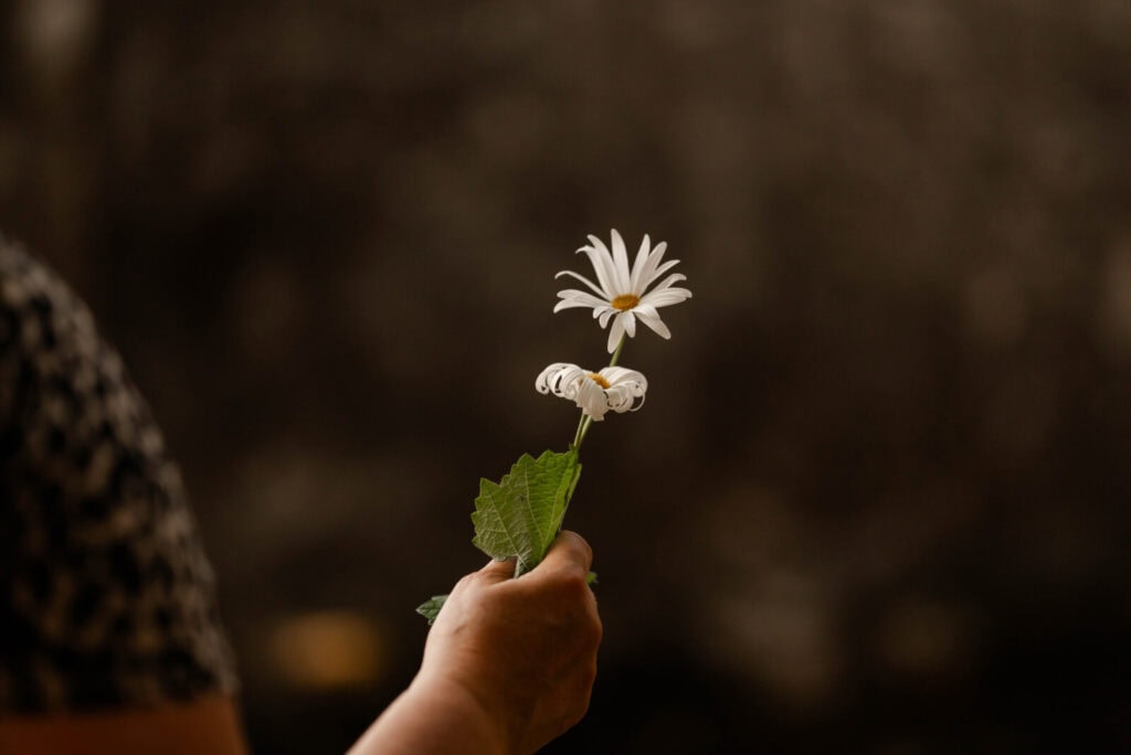 Flores para decorar a capela em dia de romaria