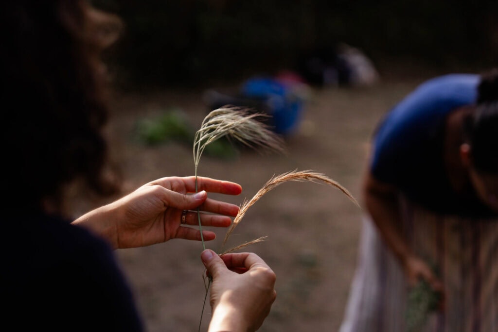 Flores para decorar a capela em dia de romaria