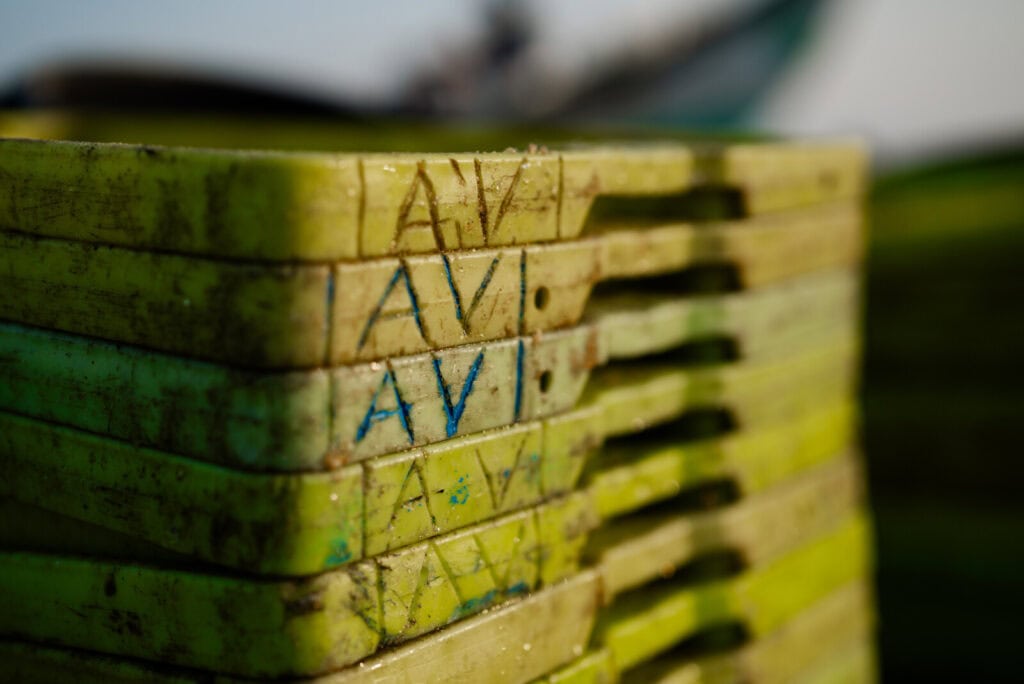 Arte xávega na Praia de Mira