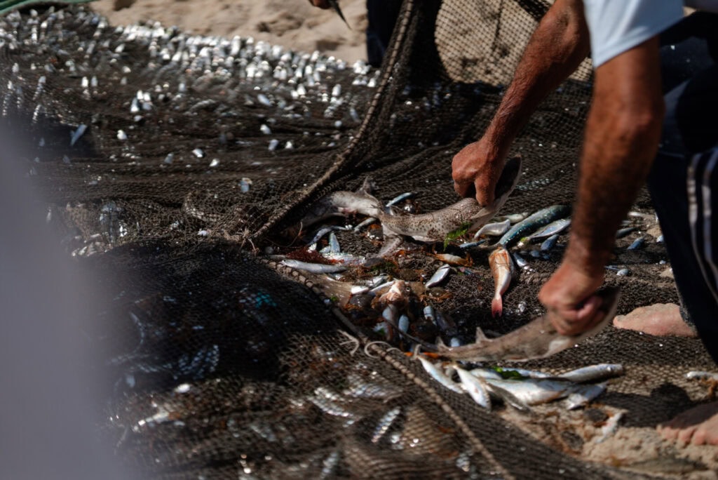 Arte xávega na Tocha